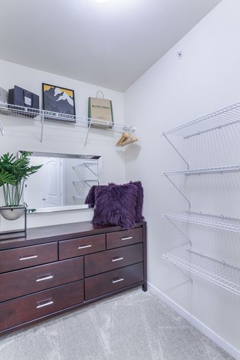 Expansive closet with open air shelving